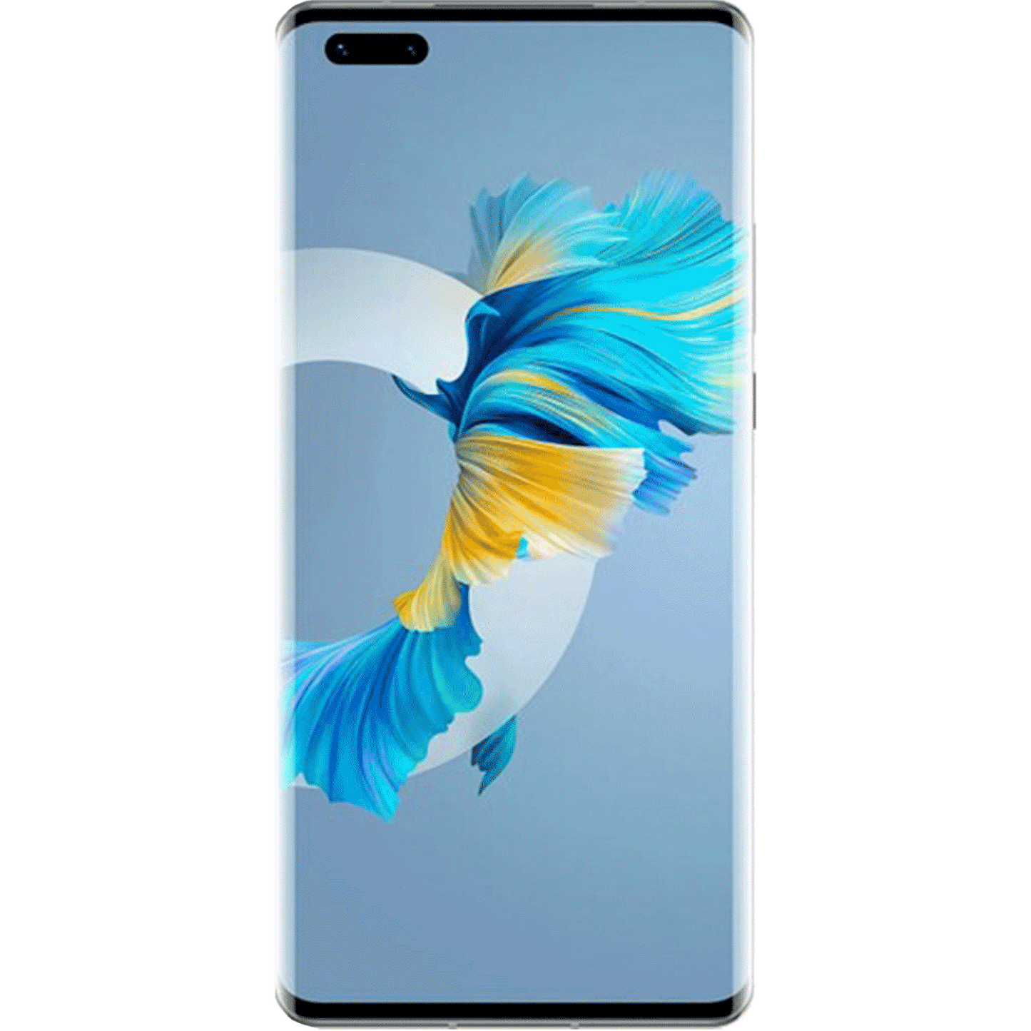 Panzerfolie für Huawei Mate 40 Pro+