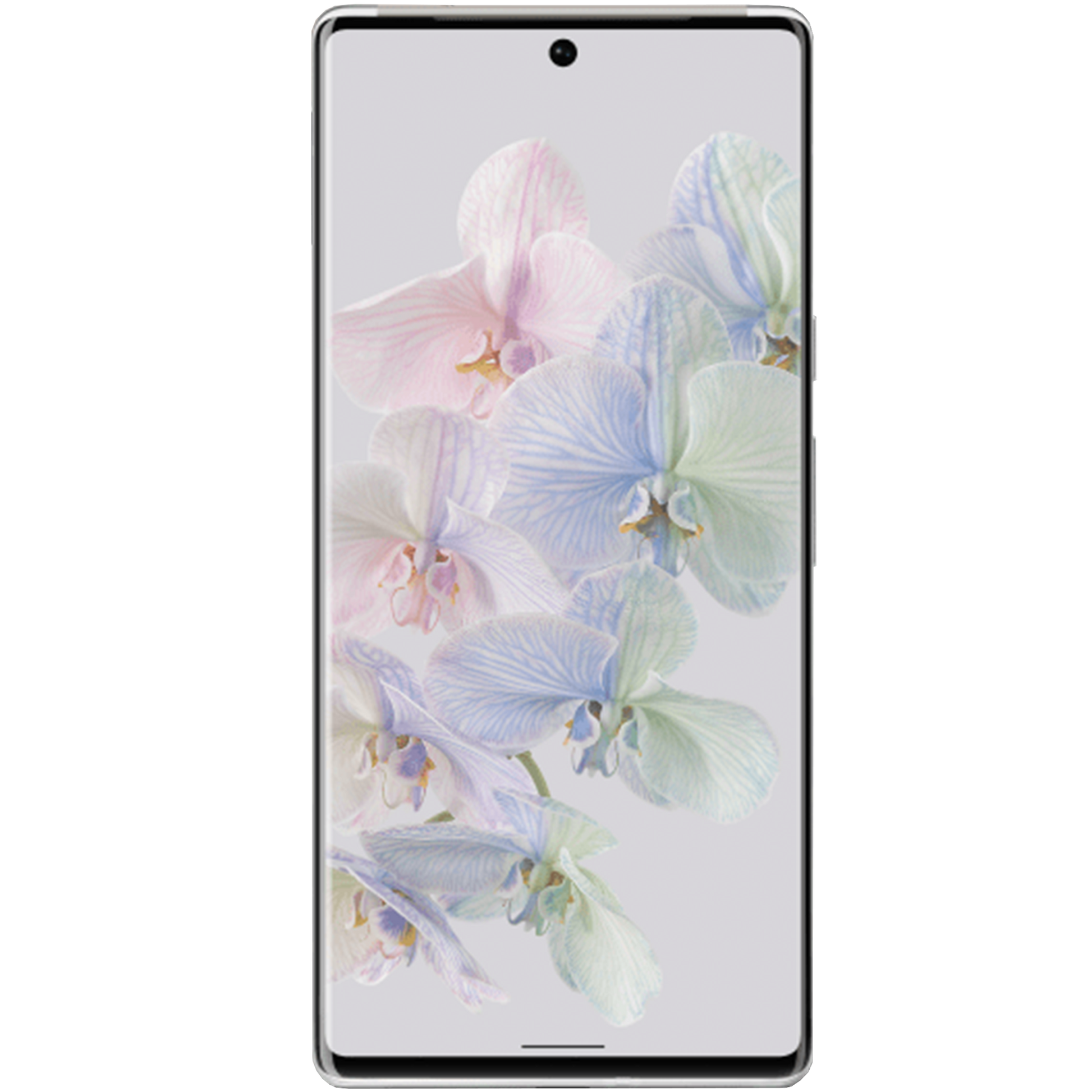 Google Pixel 6 von vorne - transparenter hintergrund