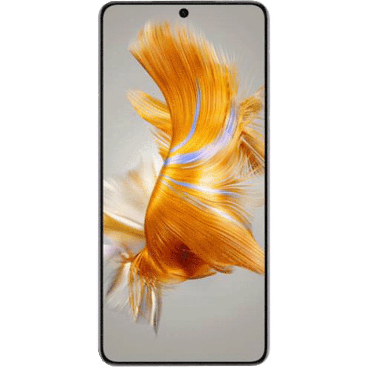 Panzerfolie für Huawei Mate 50